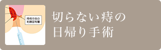 切らない痔の 日帰り手術