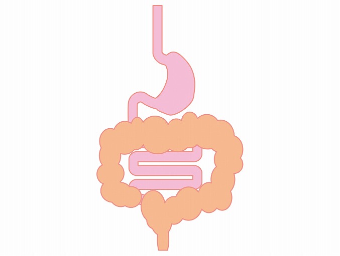 胃腸